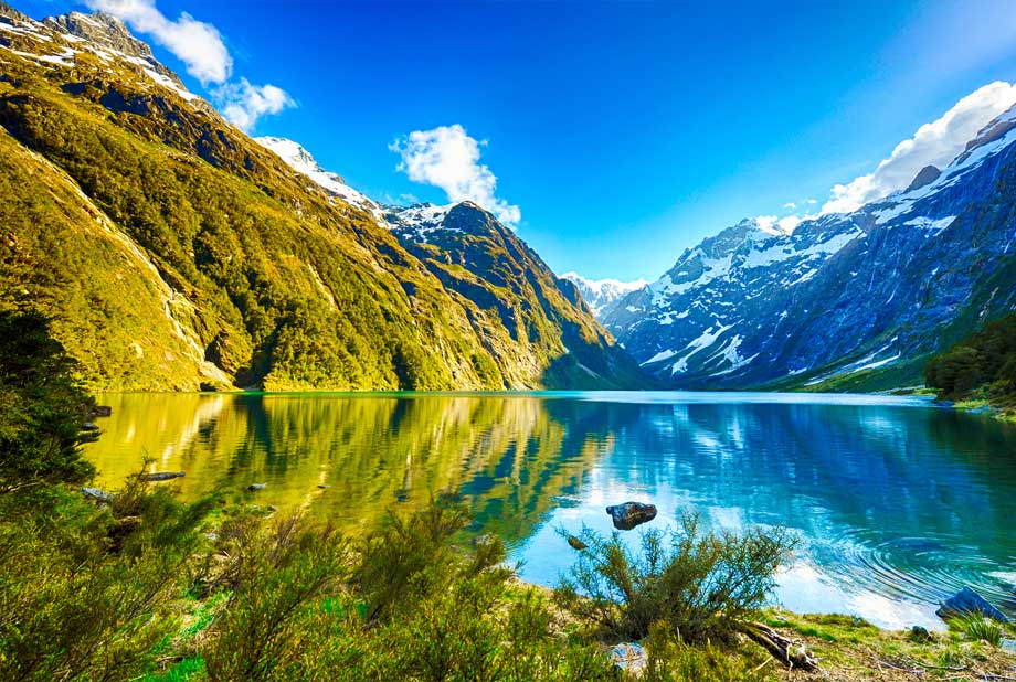 Làm visa New Zealand du lịch và thăm thân nhanh với tỷ lệ đậu 98%